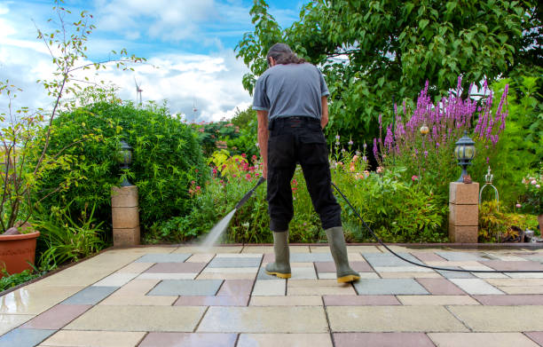 Best Pre-Holiday Cleaning  in Elkhorn, WI